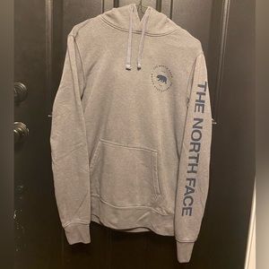 North Face Hoodie Gray Sm